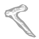 Akito's Crutch