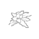 Botany Knowledge
